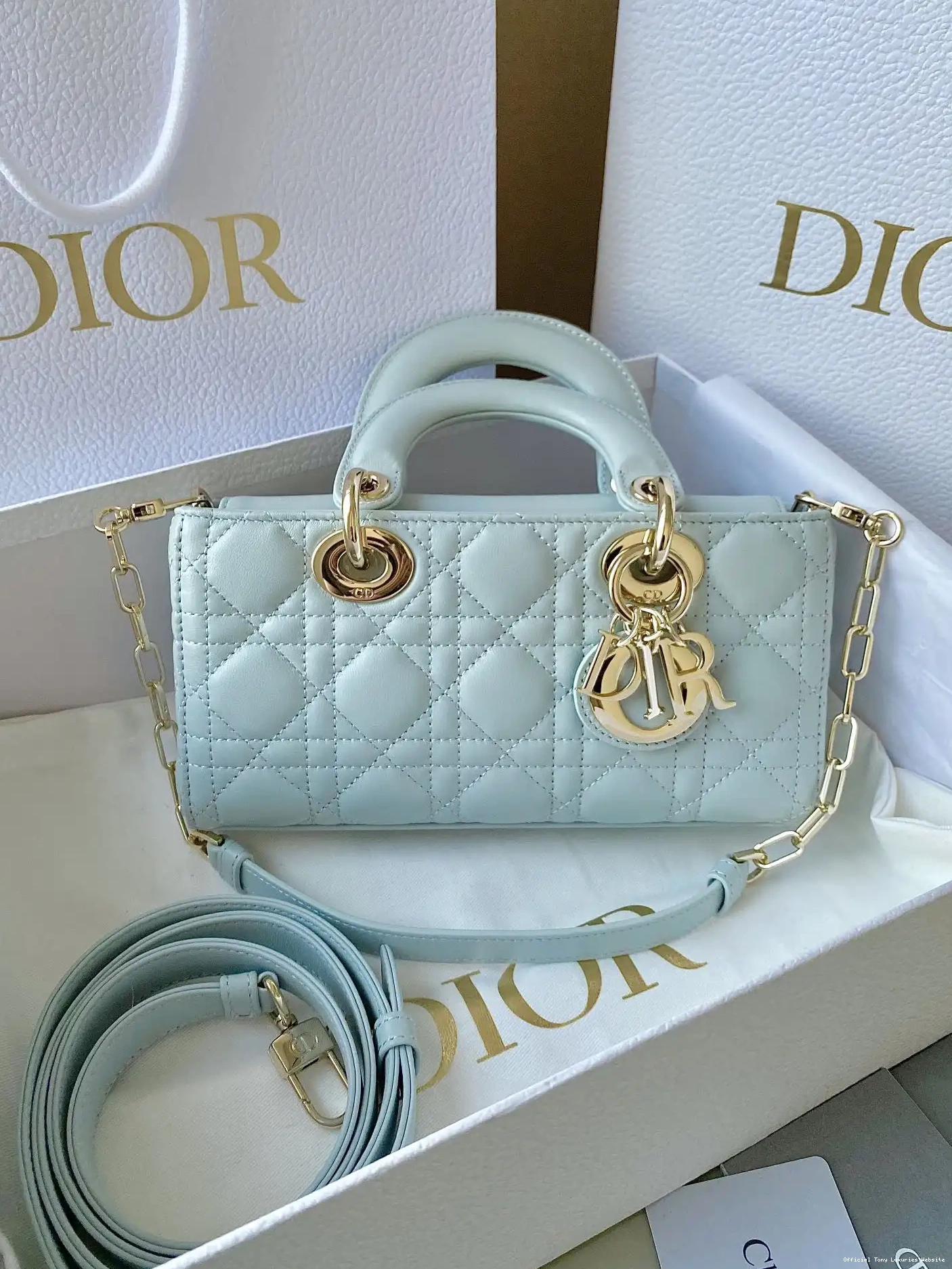 Tony Luxuries BAG-22*12*6CM D-JOY diro LADY 0510